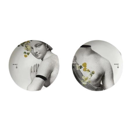 Set de 2 assiettes plates Parnasse Ibride